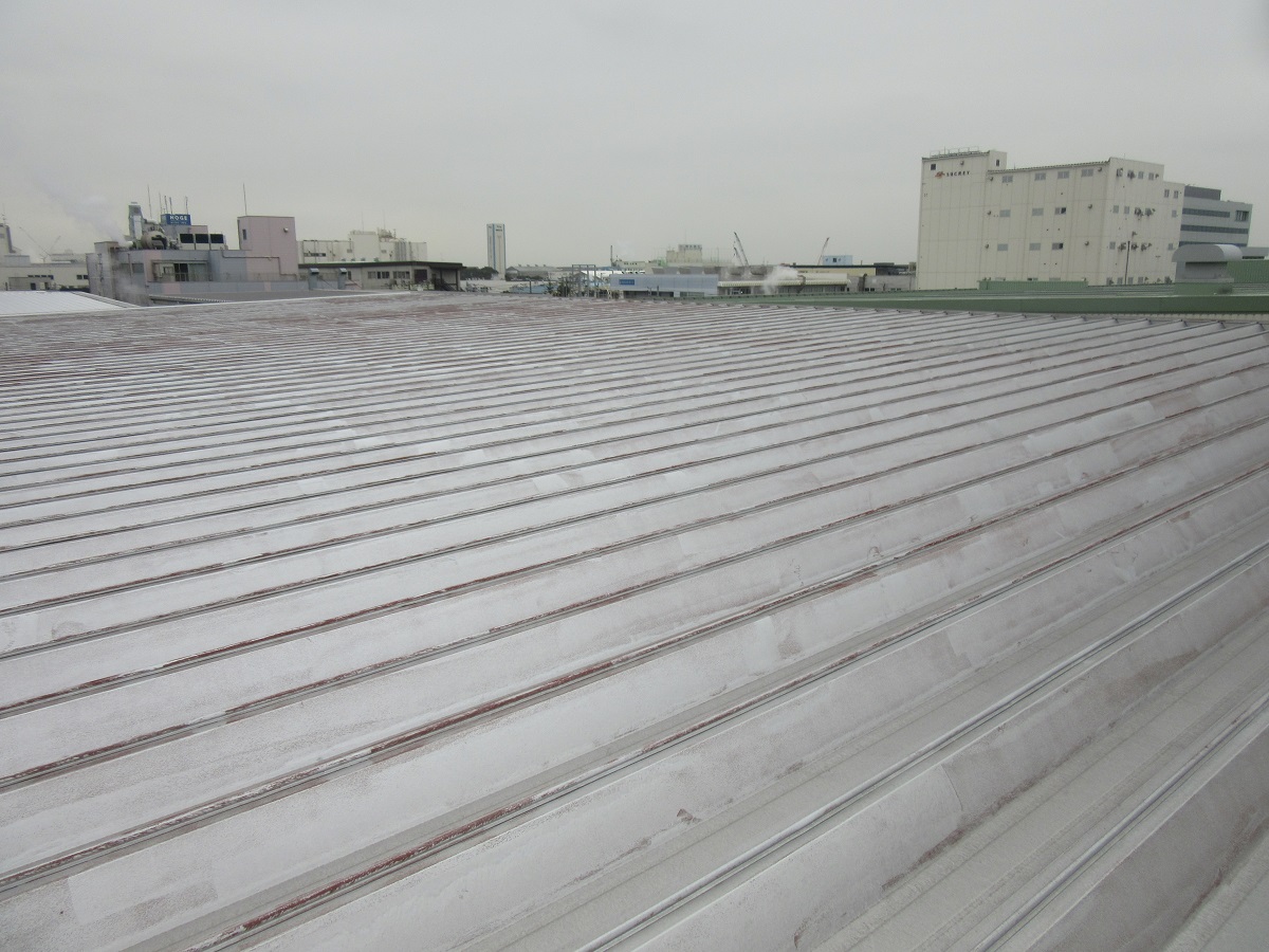 東京湾近くの工場の大きな折板屋根